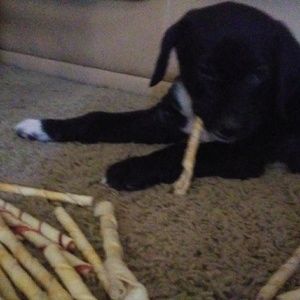 Meet your Posher, Margaret